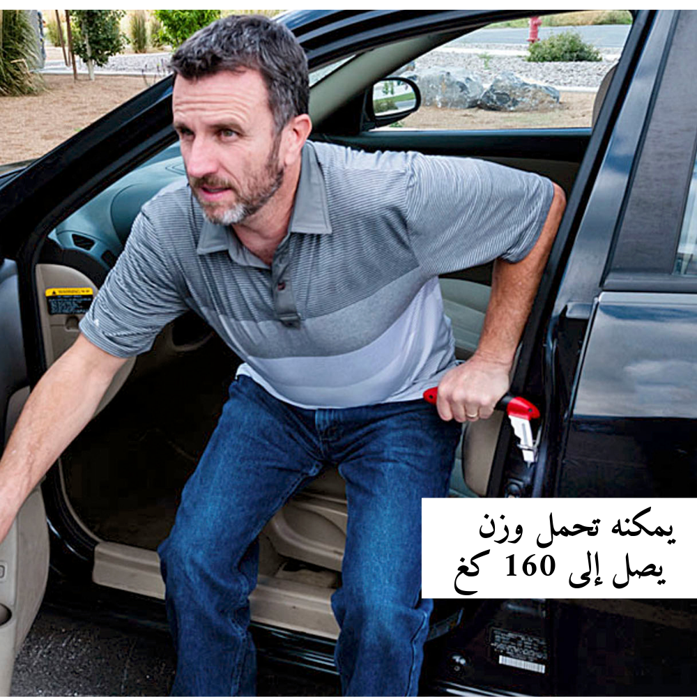 Car handle assist